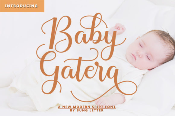 Baby Gatera Font: Adding Warmth to Web Design