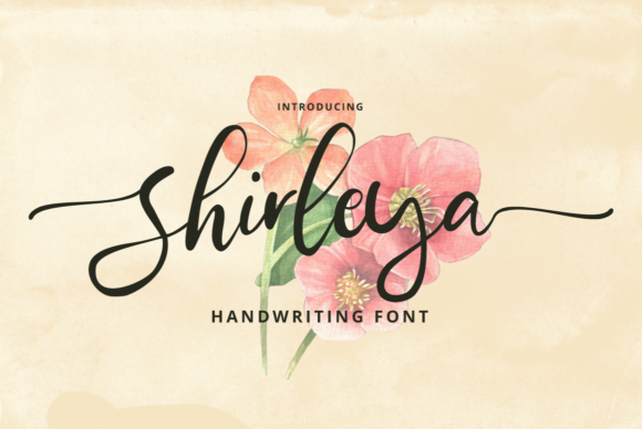 Shirleya Font: Adding Warmth to Digital Layouts